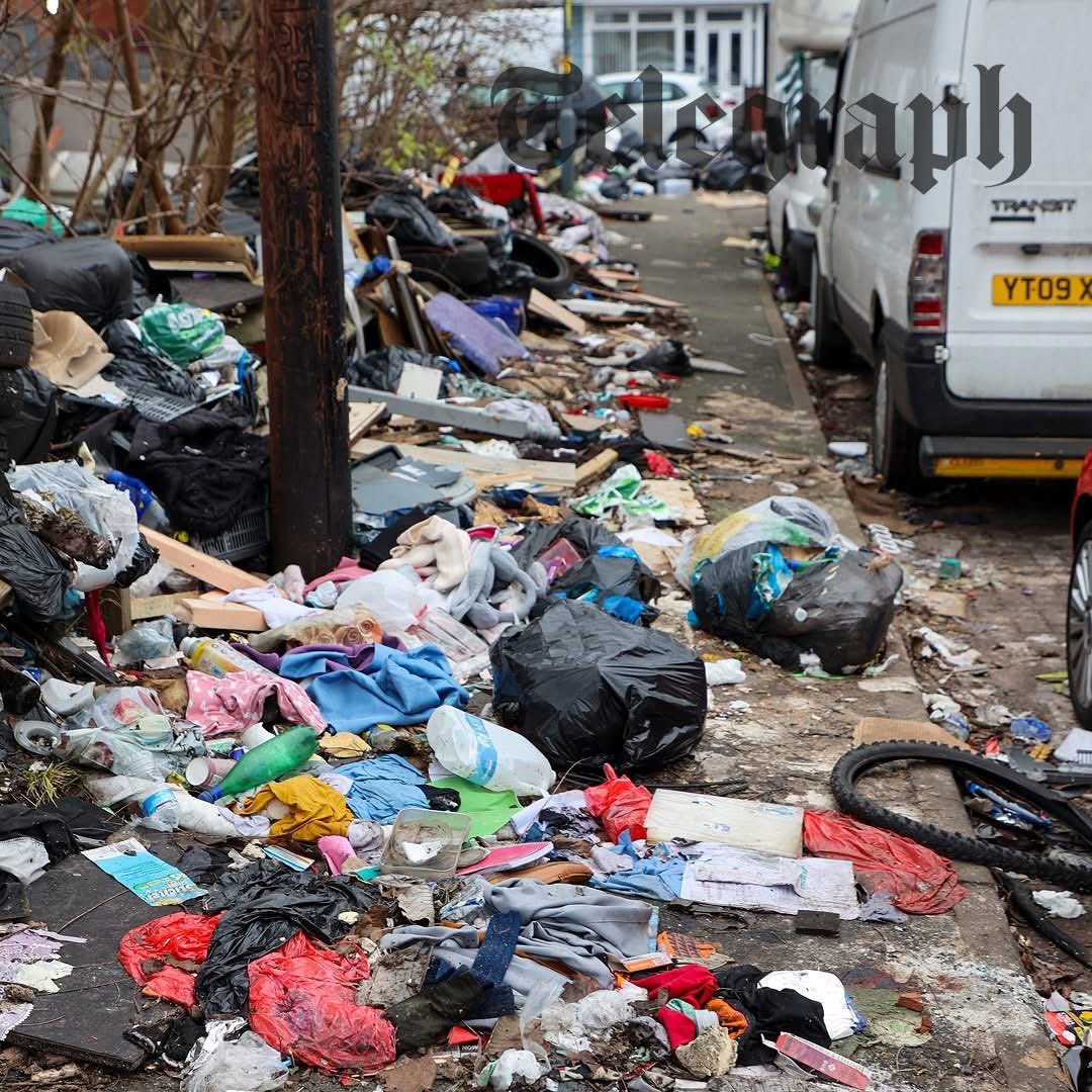 SOI media 🇬🇧 tweet media