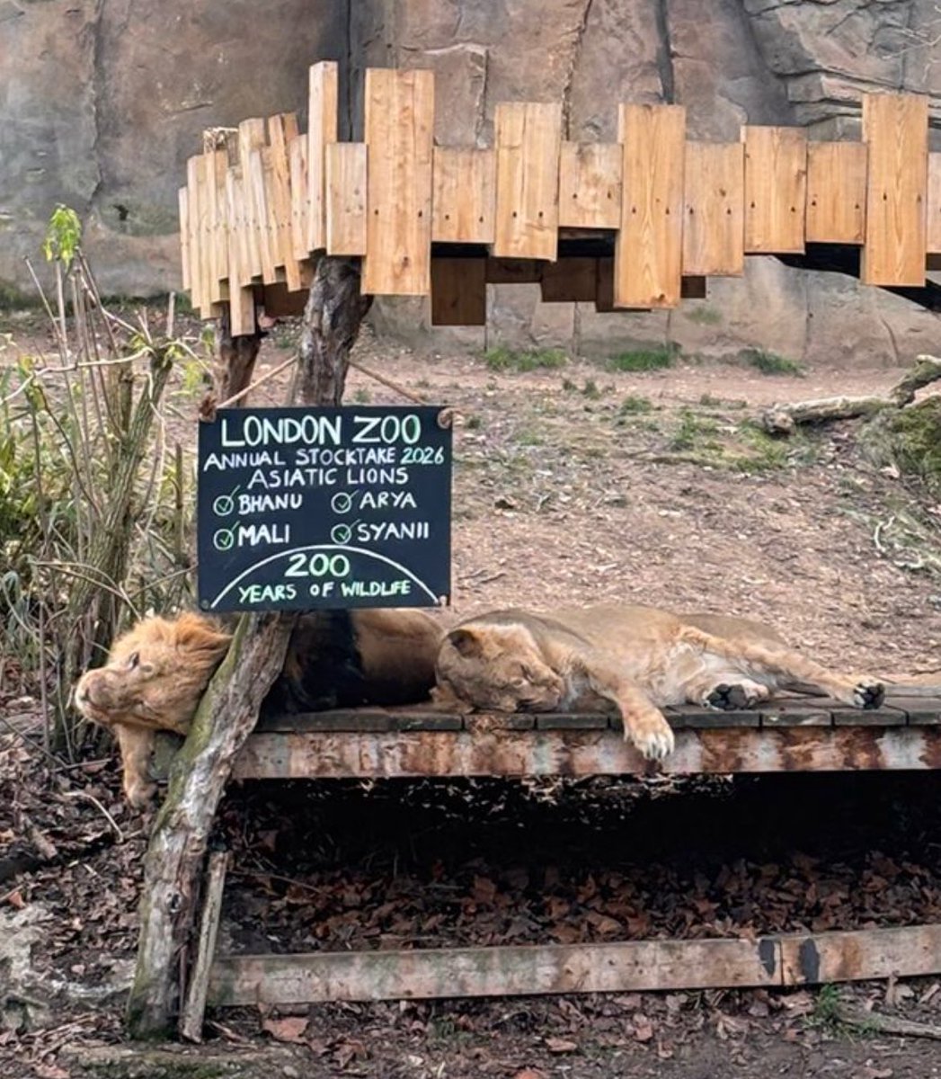 Steve Holden tweet media