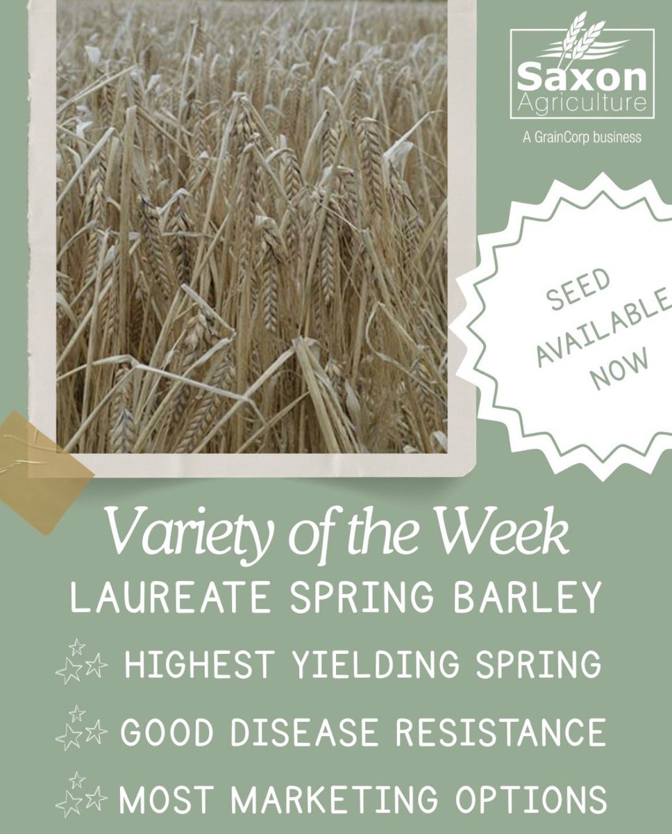 Saxon Agriculture tweet media