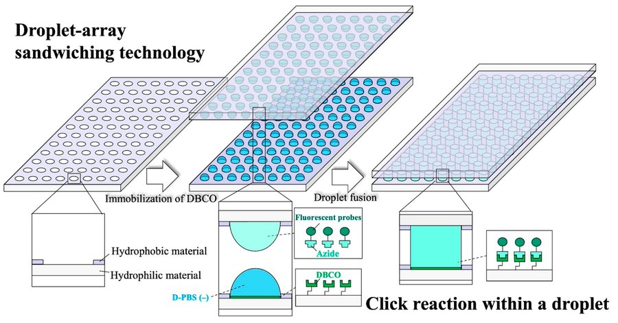 MDPIEngineering's tweet photo. 👏 Editor's Choice Paper: "Application of #Droplet-Array #Sandwiching Technology to #Click Reactions for High-Throughput #Screening".
🏆 Yoshinori Miyata et al.
🏫 @RitsumeikanU
 
👉 Full paper: https://t.co/mpjgiZiLV7

#FeaturePaper #Microfluidics #Microarray https://t.co/wONbG99lDX