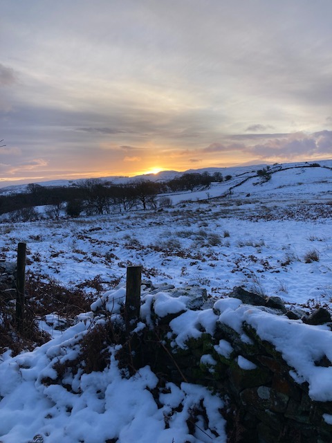 FarmIT3000 tweet media