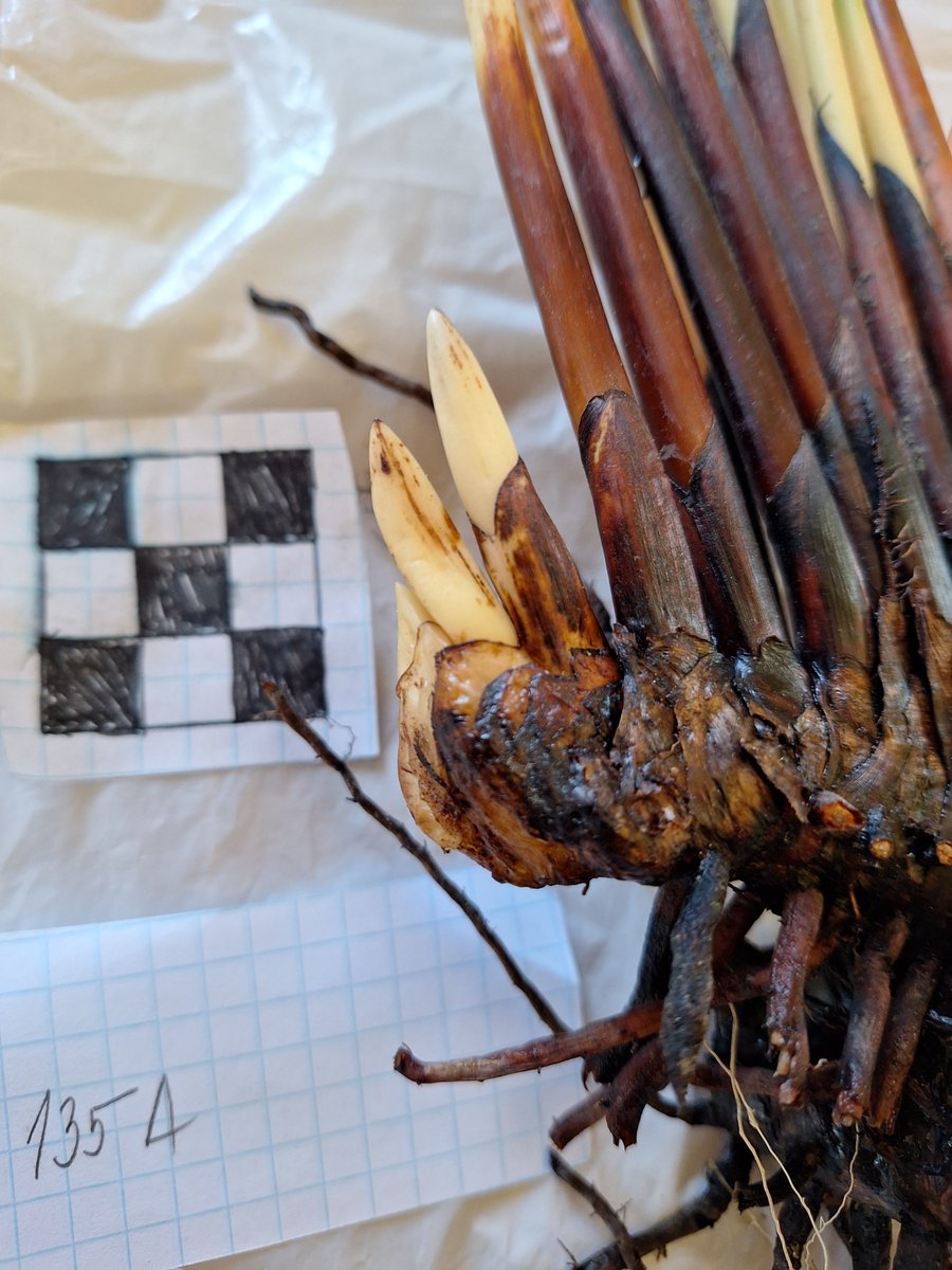 Go Belowground! tweet media