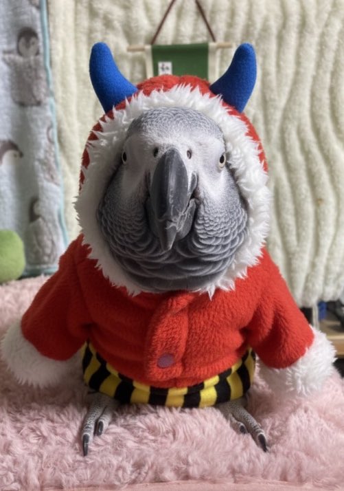 RuoXi31355's tweet image. 頂きました✨️😆