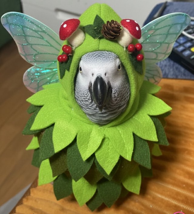 RuoXi31355's tweet image. 頂きました✨️😆