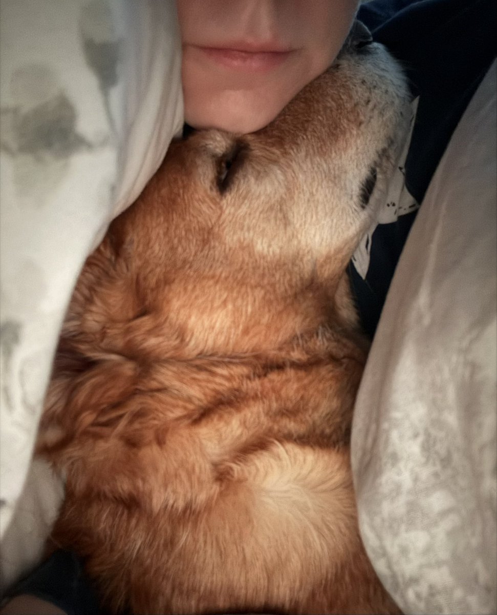 Sally Doherty writes 👩‍💻 tweet media