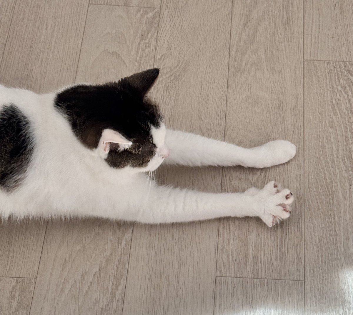 발 차이 보실 분 ..