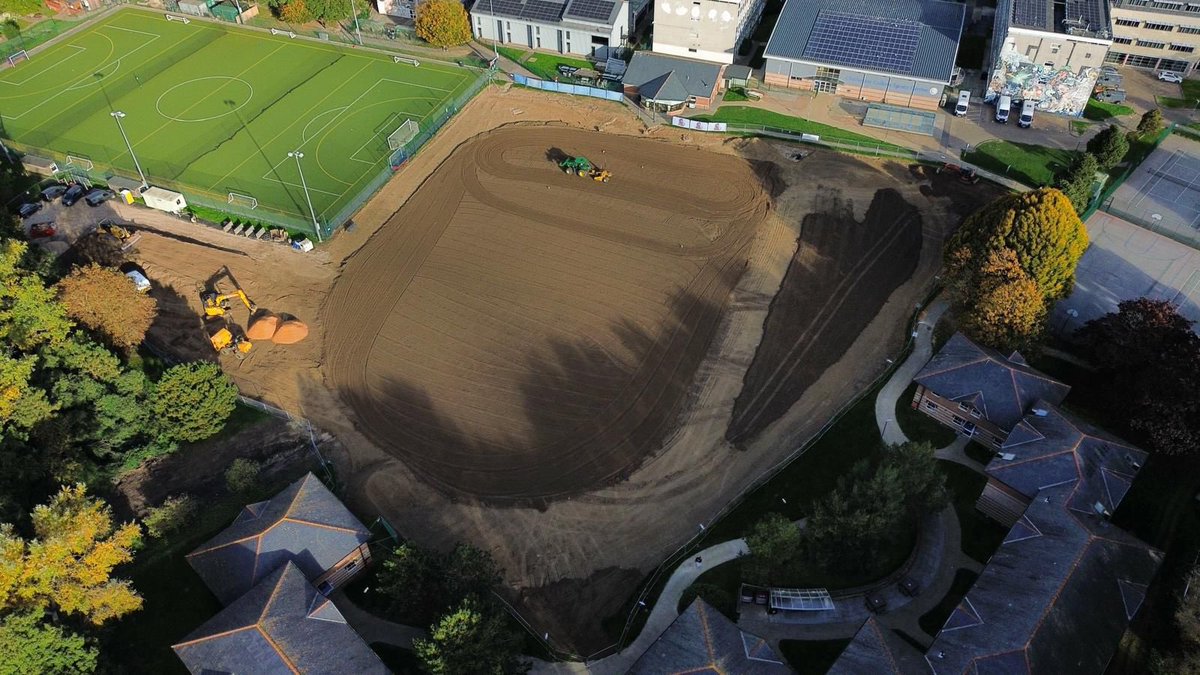 Surfacing Standards tweet media