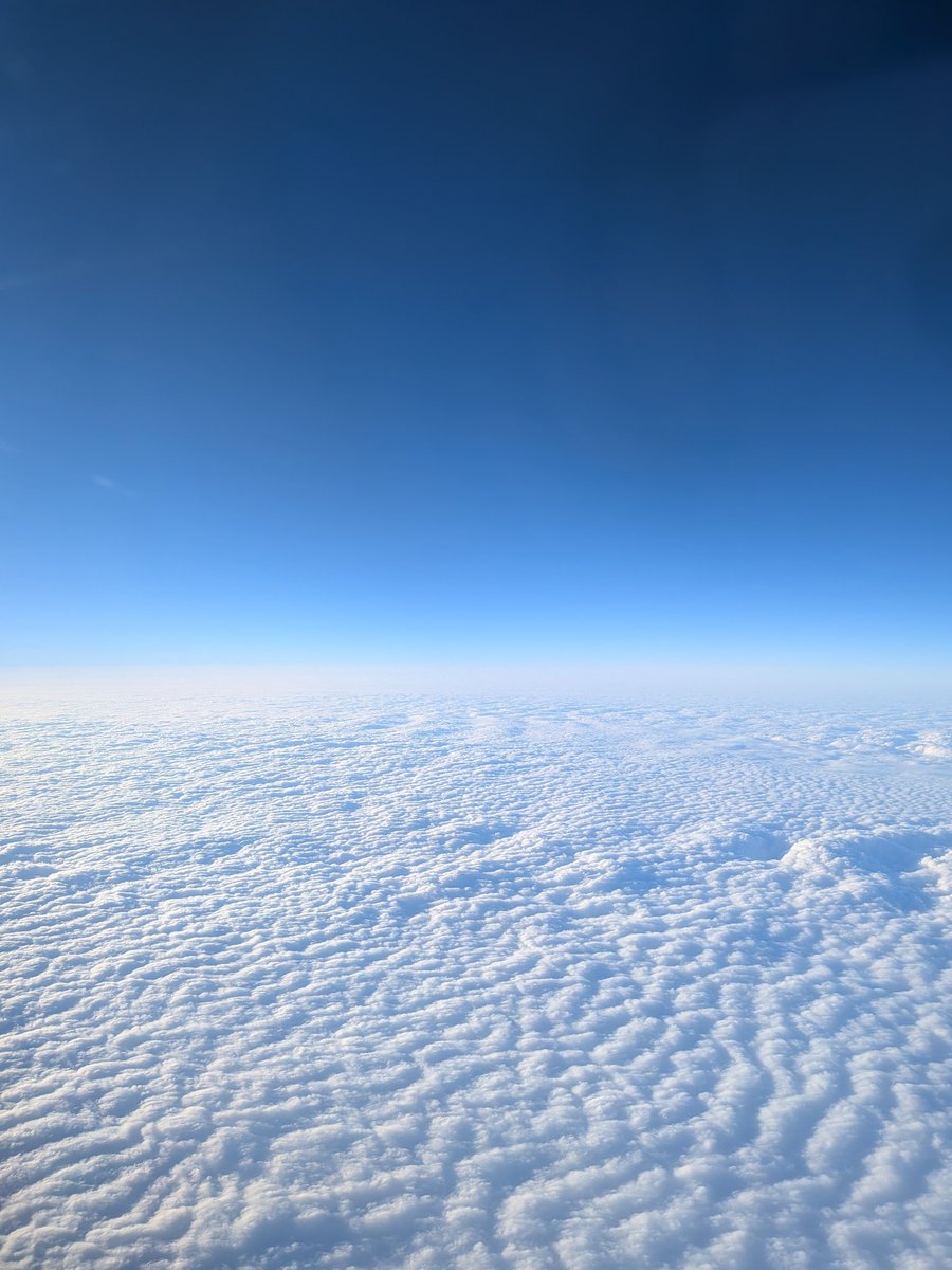 Post by 御一人様 on X: 雲の上