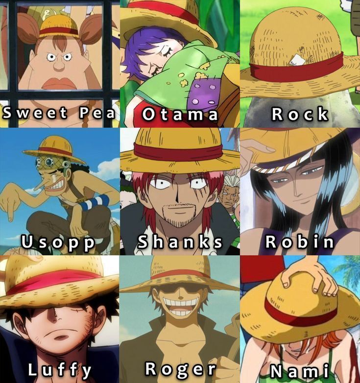 One Piece Daily tweet media