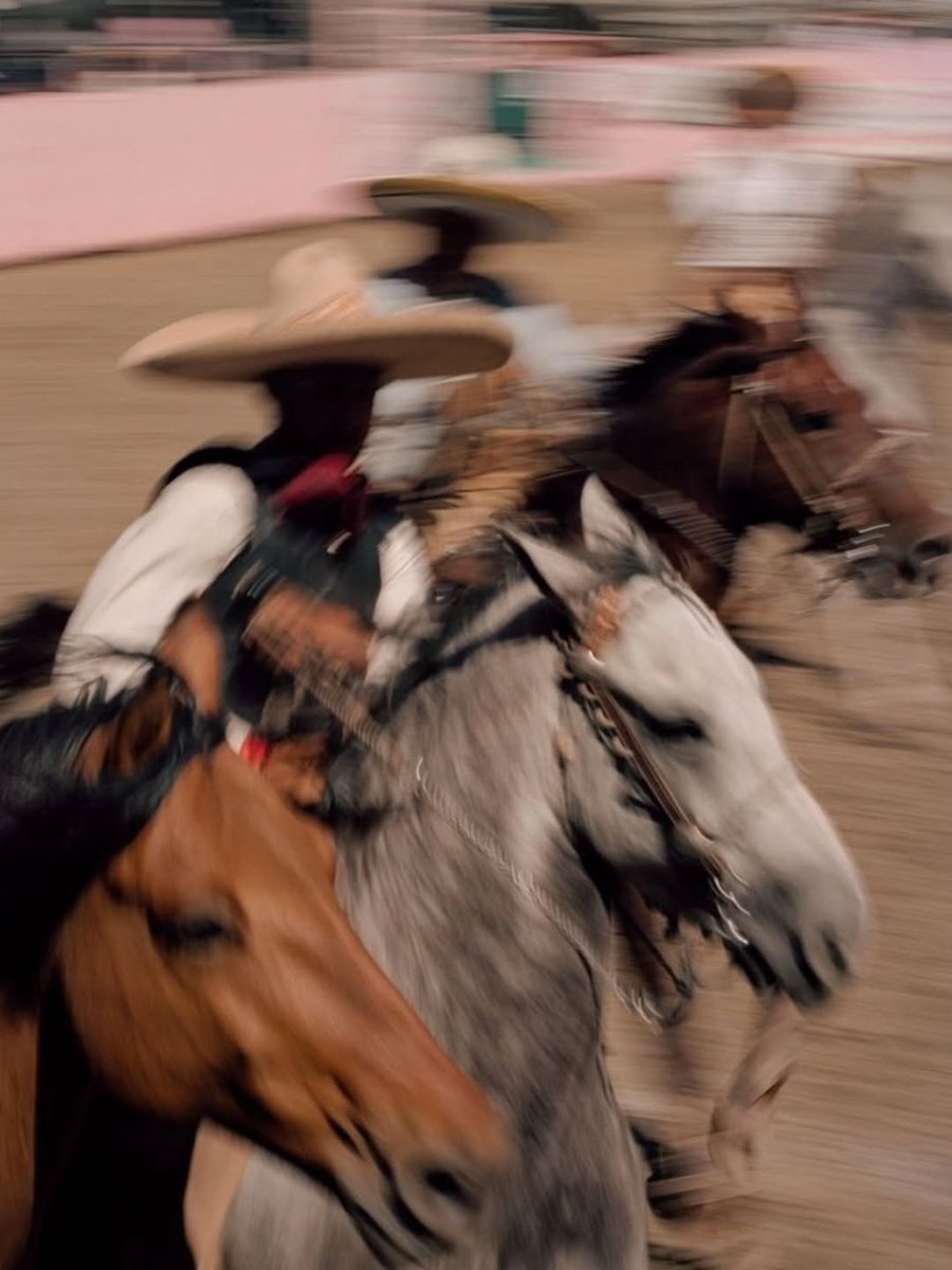 opticoded's tweet image. Americana