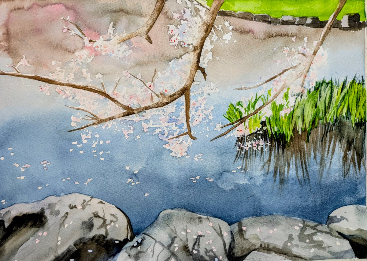 しーちゃん (@c_chan_nurie) / Posts / X