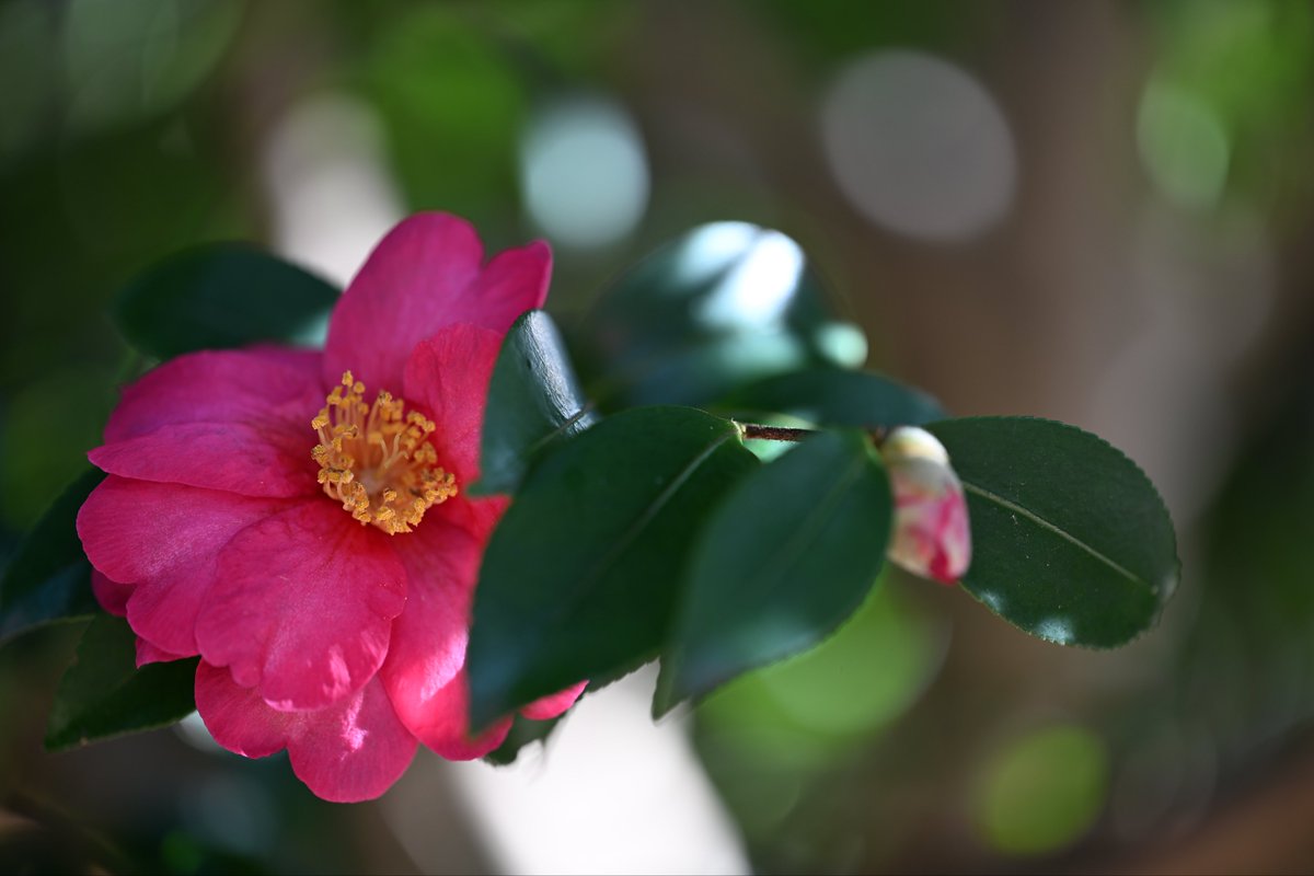 Kazumi様♡ありがとうございます♡ kazumi (@zf1118kazumi) / Posts / X