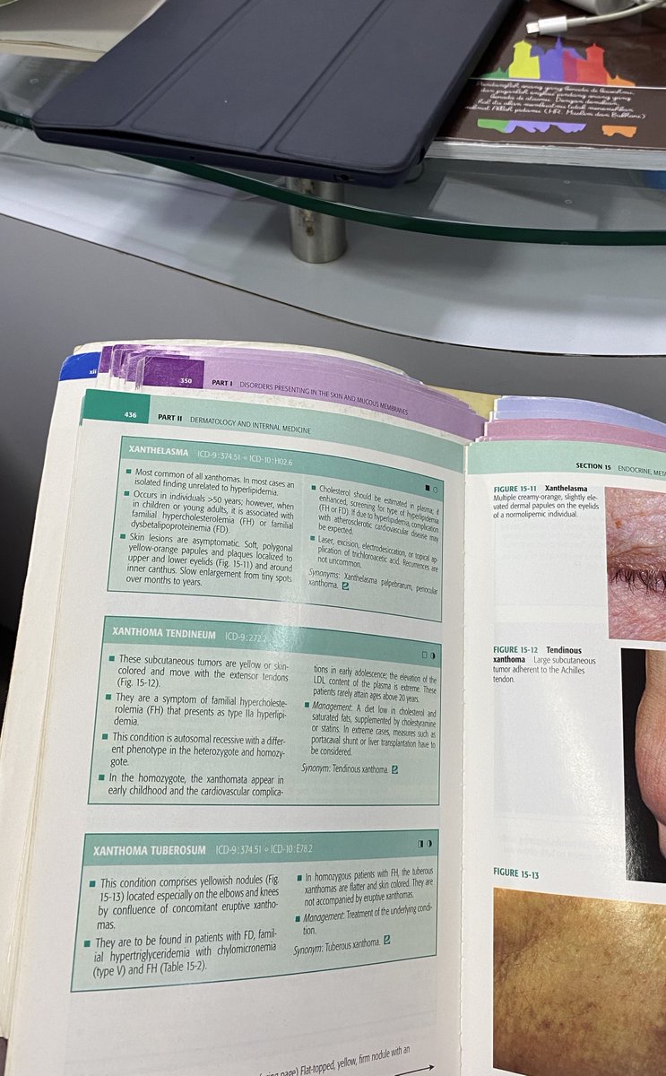 httpenza's tweet image. Reading (text) book