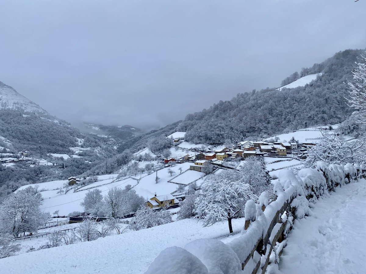 LuisNembra's tweet photo. Los Reyes nos dejaron nieve ❄️❄️
Cao, parroquia de Nembra (Aller) @eltiempotpa https://t.co/Bt8M98QUMo