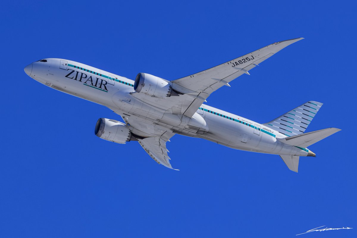 やまクマ (@Yamakuma381) / Posts / X