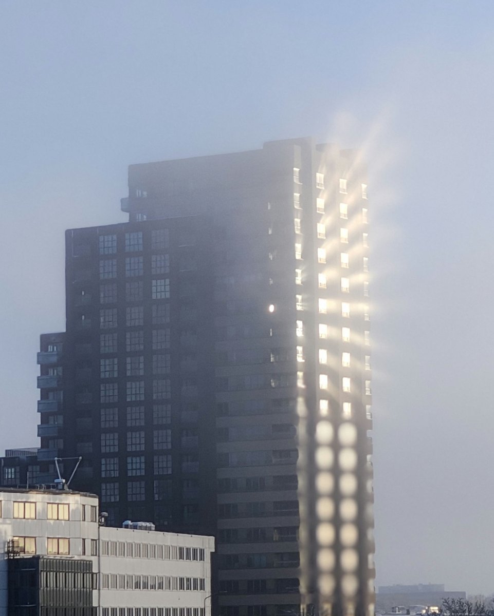 TrowbledRon's tweet image. Sun reflection in the mist