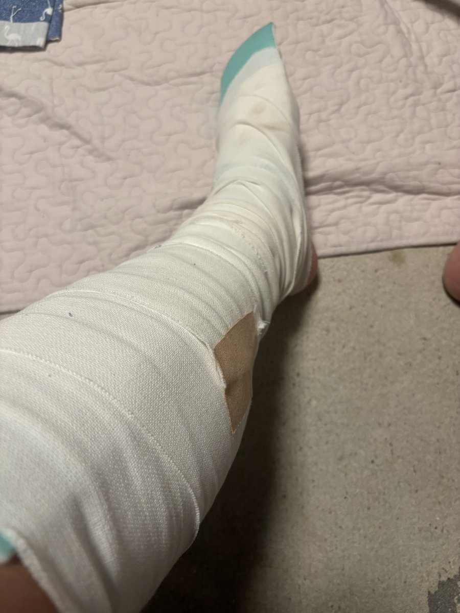 遅くなりましたが明けましておめでとうございます‼️
本年も宜しくお願いします😄

去年は家族の足を失いましたが、今年は前厄とのことで自身の足の機能を早速失いました…
来年の本厄には何が起こるやら🫨

皆さん、今年も仲良くしてください‼️