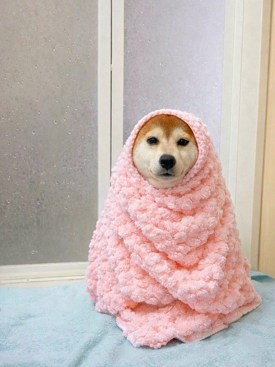 Amazon.co.jp: YYKSYDPT 3個パック 犬用かぎ針編みキット 初心者向け ハンドメイド DIY ニット犬のオーナメント  詳細なステップバイステップビデオチュートリアル付き (コンビネーション2) : ホビー 動物 Diy かぎ針編み キット 初心者 犬とクリスマスツリー  ラッチフック ..., image size:900x1199