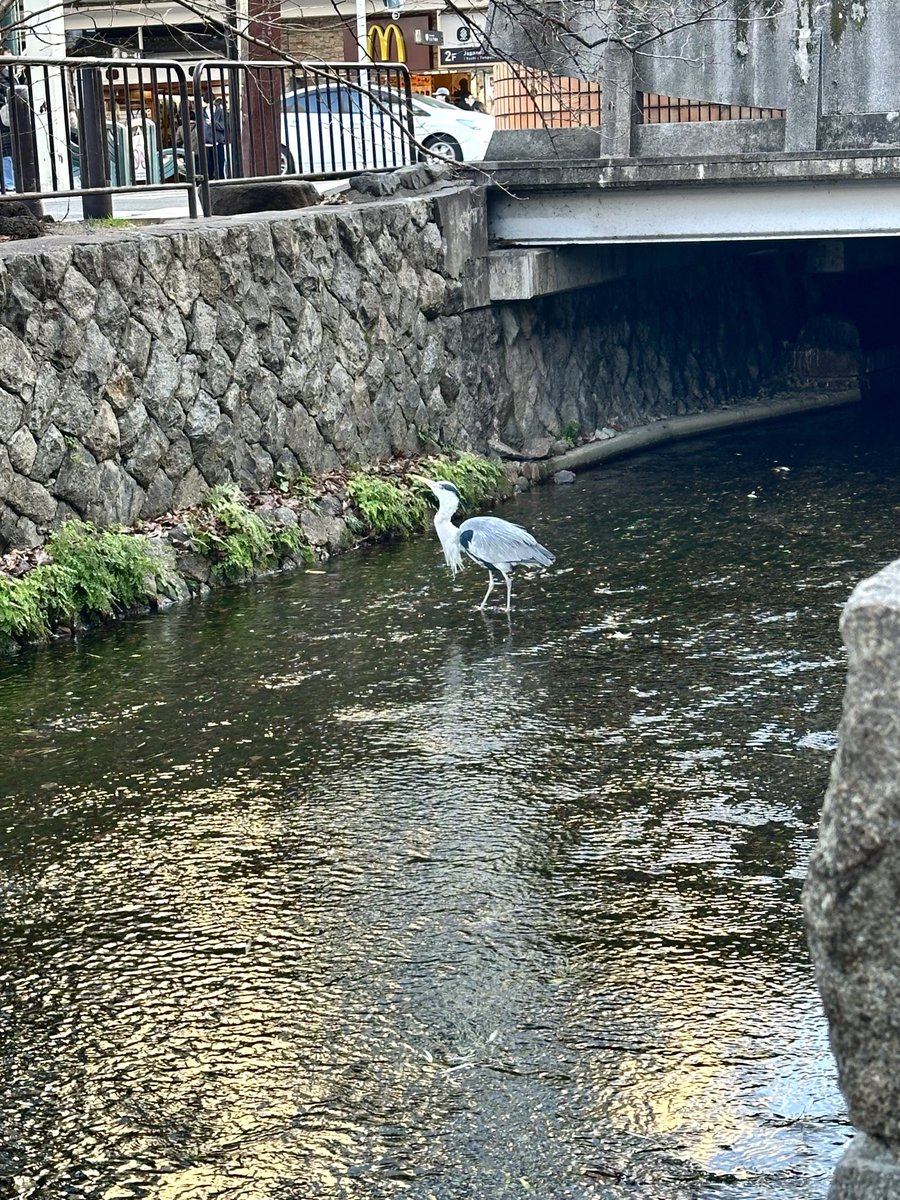 美有紀 tweet media