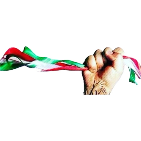 Mehrdad Azimi tweet media