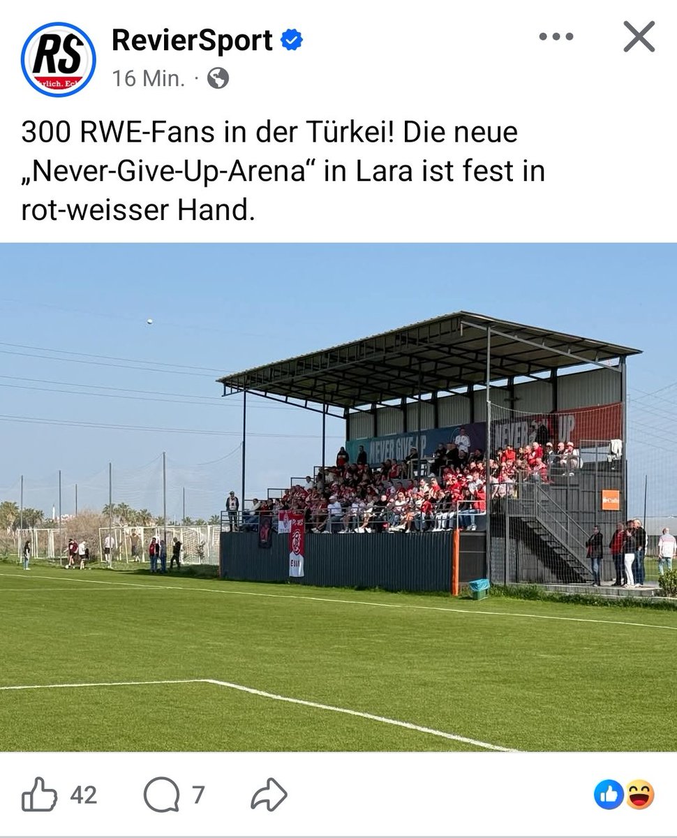 Gewalt Lienen tweet media