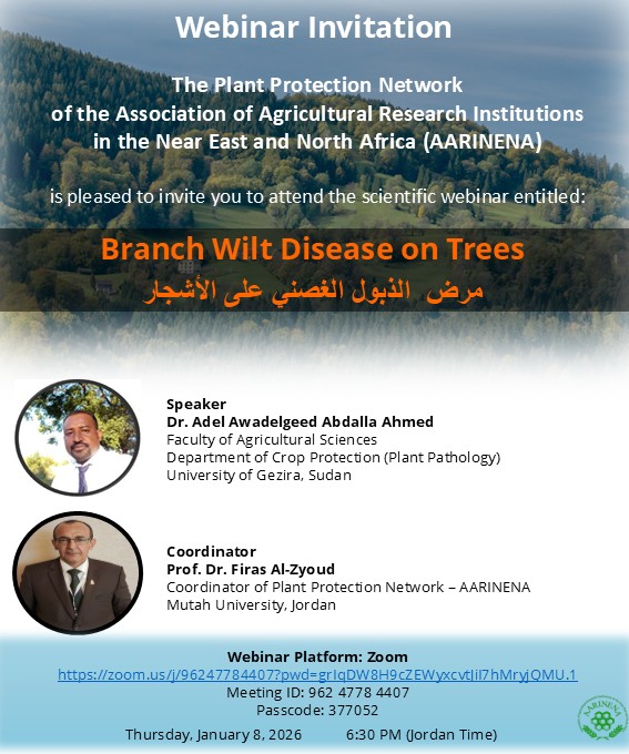 AARINENA tweet media