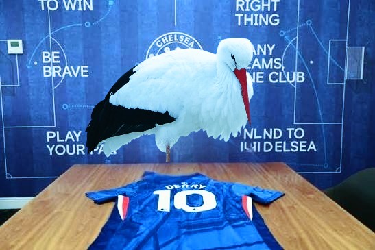 Mercato Plein tweet media