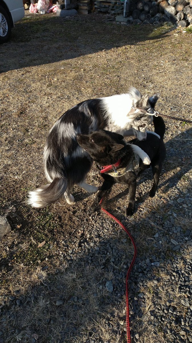 皆様、今晩は。本日もお疲れ⛰️いつも、良いね、再投稿かたじけ🍆東京