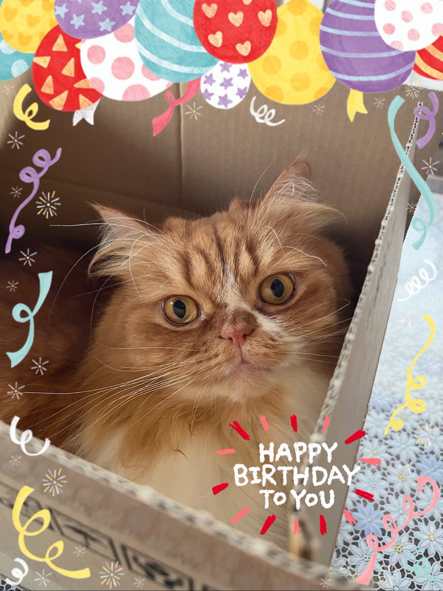 のりたま様*.+゜オーダー品☽︎‪︎.*·̩͙‬ 今年も本当ありがとう ずっと愛してるよ