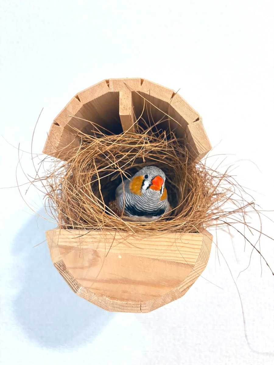 おうち入れてよかったねえ