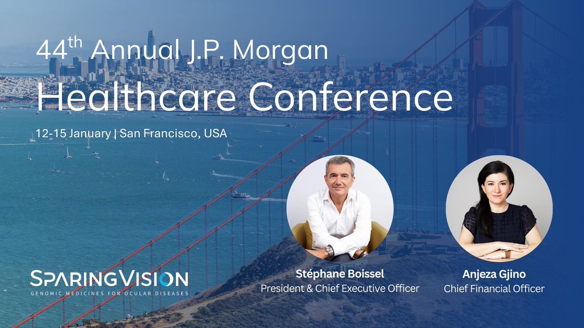 SparingVision tweet media