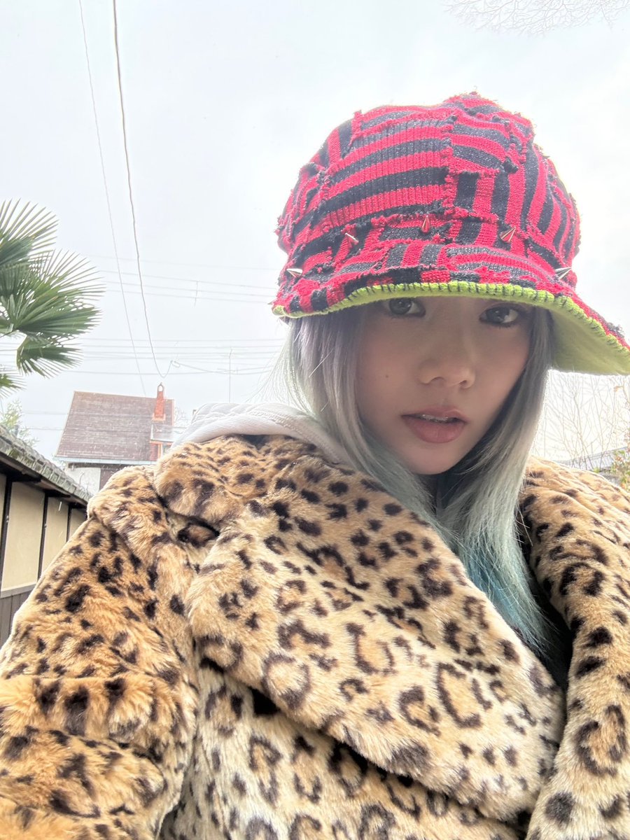 나시 tweet media