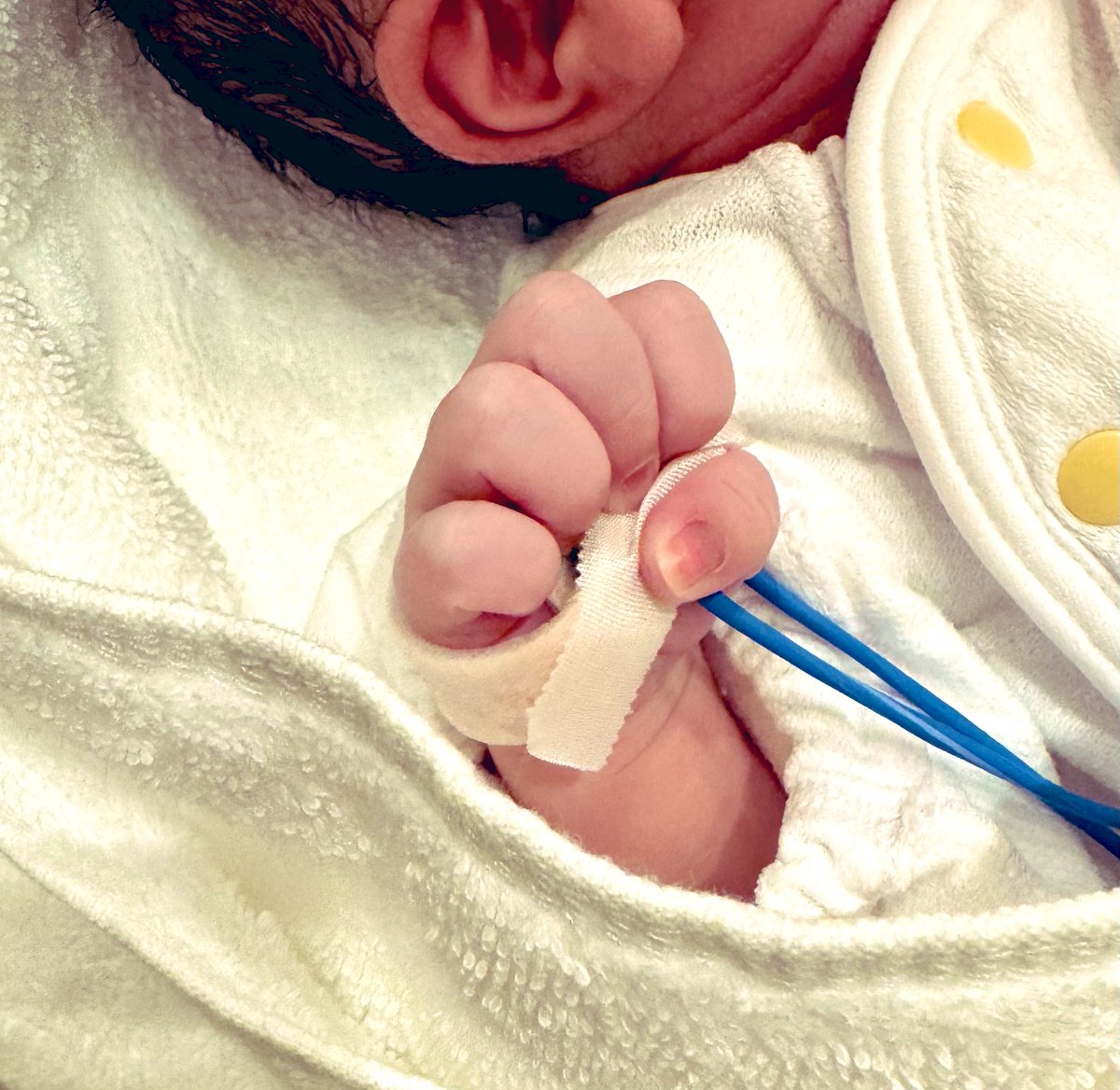 もう石田 tweet media