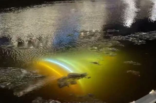 г. Санкт-Петербург.
Ёлкопад!!!🎄😱
Ёлка рухнула прямо в реку Мойка, но китайская гирлянда не подвела и продолжила светится даже под водой.😯🇨🇳💪