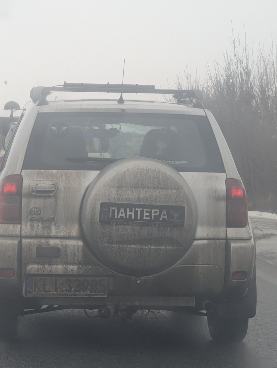 Дівчата хто з вас ?