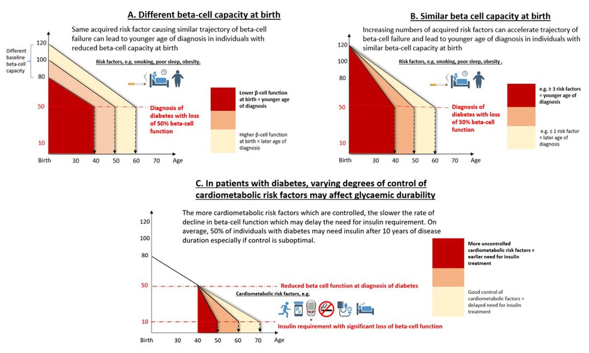 Journal of Translational Genetics and Genomics tweet media