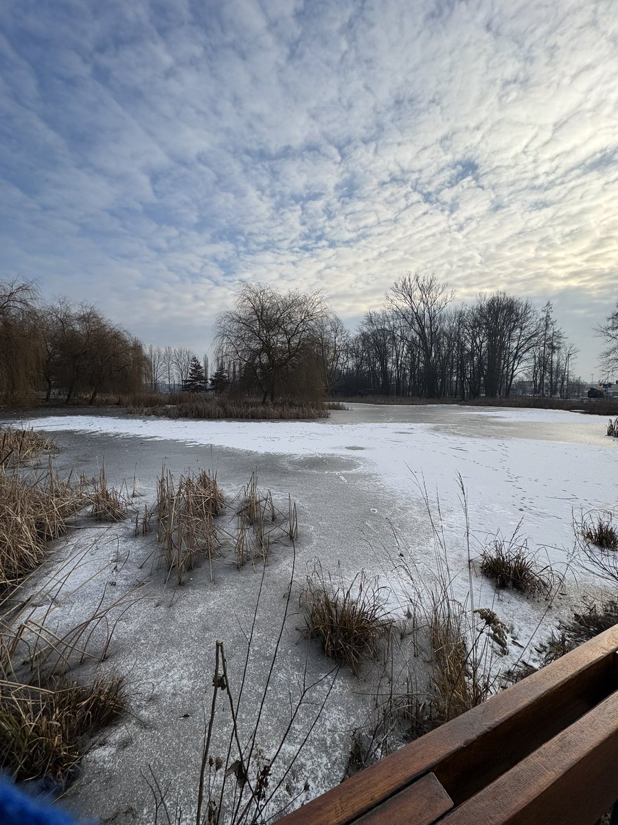Bugün tatil, dışarısı donmuş durumda. Artık evde cozy cozy takılacağız.
