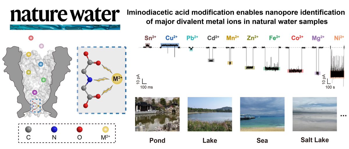 Huang_Nanopore tweet media