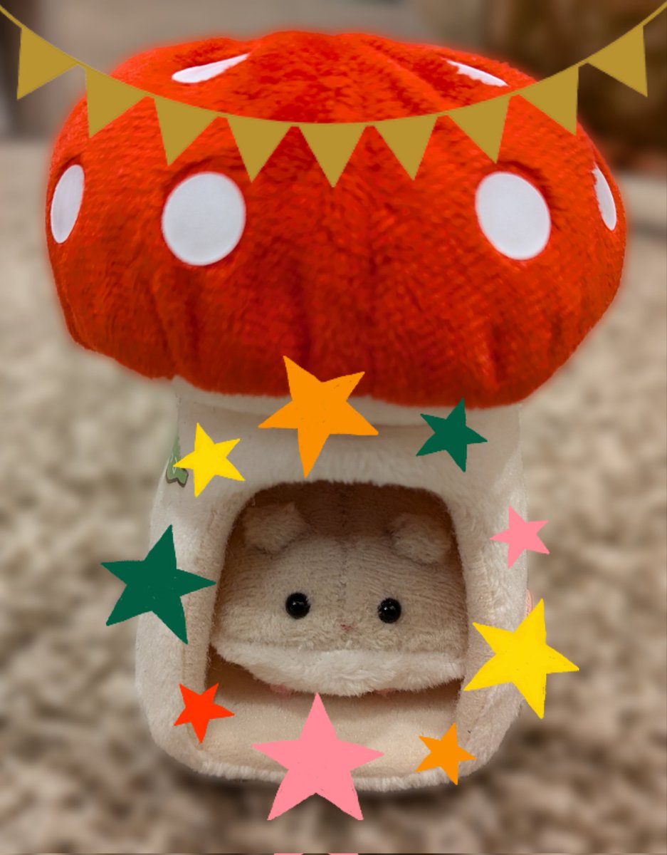 🐹ハム、野生のハムスターと出会う🍄