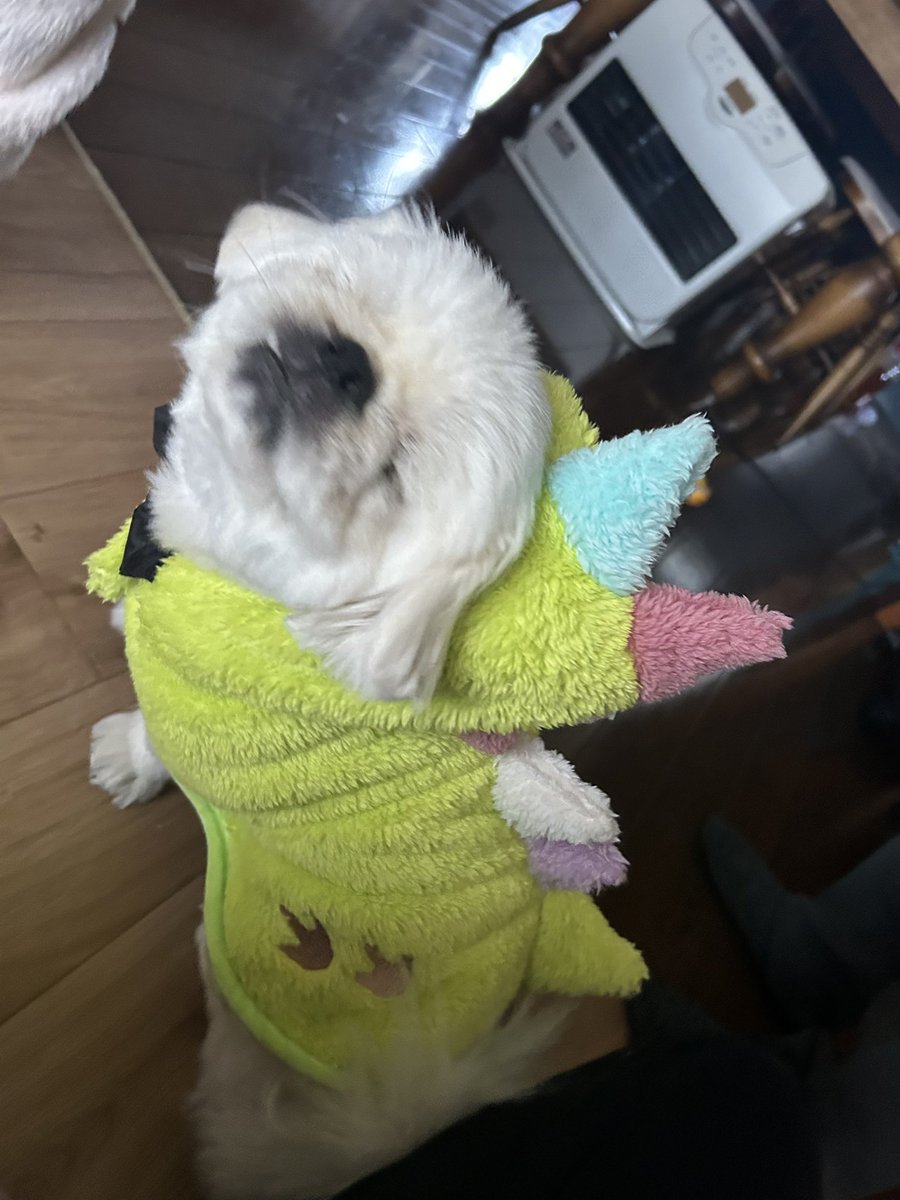 Post by 大福さん on X: 自我が.