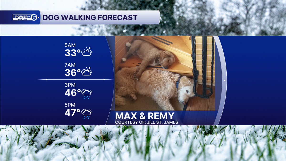 Big doodle, little doodle... Soggy doodles today!