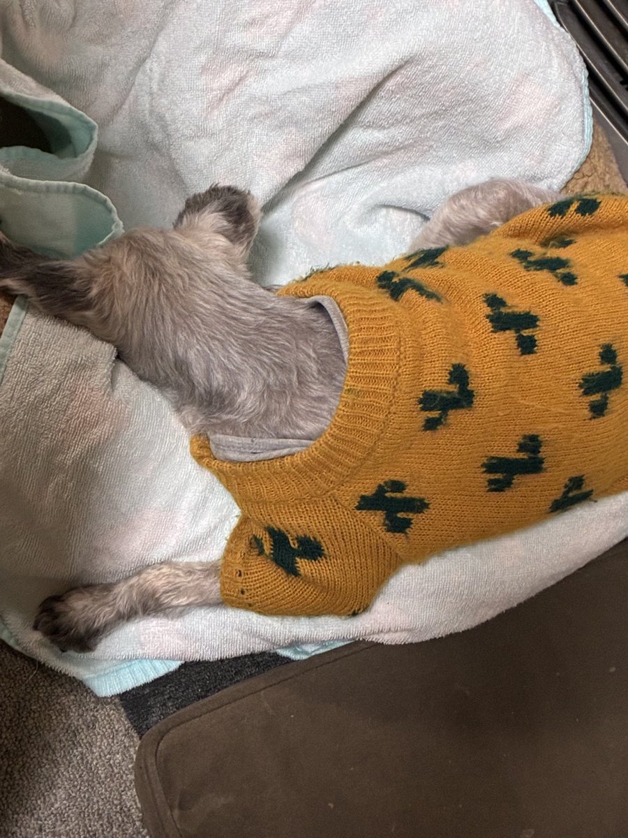 ベッドのフチで寝るフチ子さん。かわゆいのよ❤️