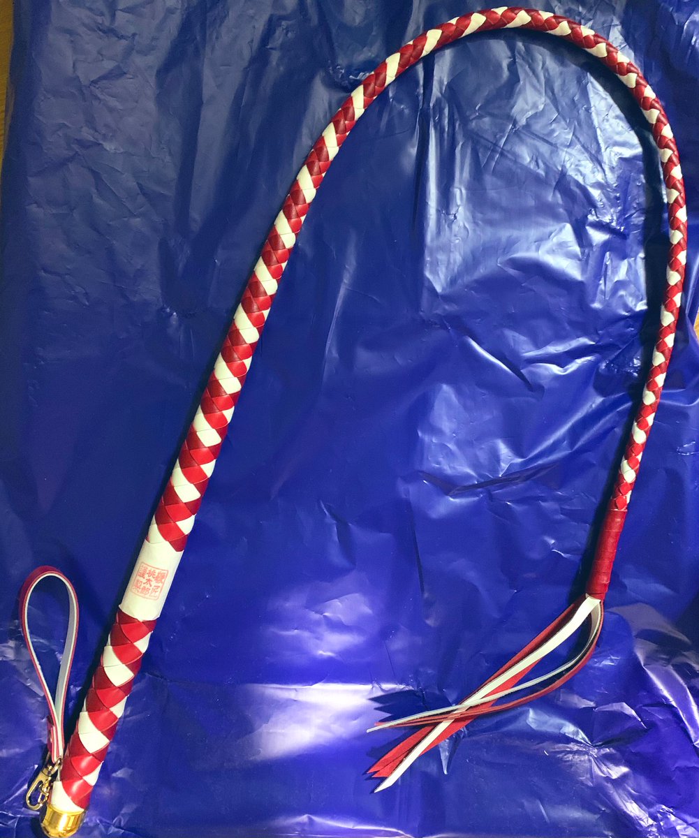 鞭匠 初代 桃太郎 (@momowhips) / Posts / X