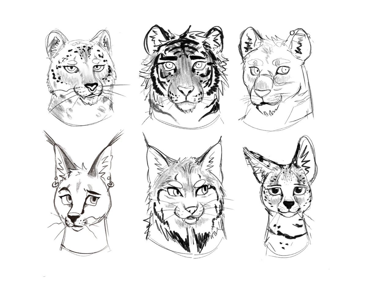 RNBOWtrout's tweet photo. Wanted to practice drawing some cats since I never do! https://t.co/Ucad44E89c