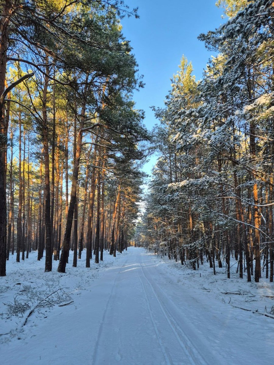 Djeekop de Dichter ★ tweet media