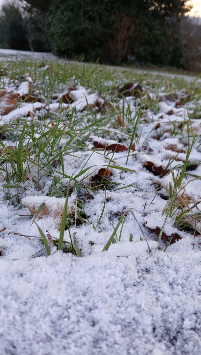 Principauté d'Hélianthis tweet media