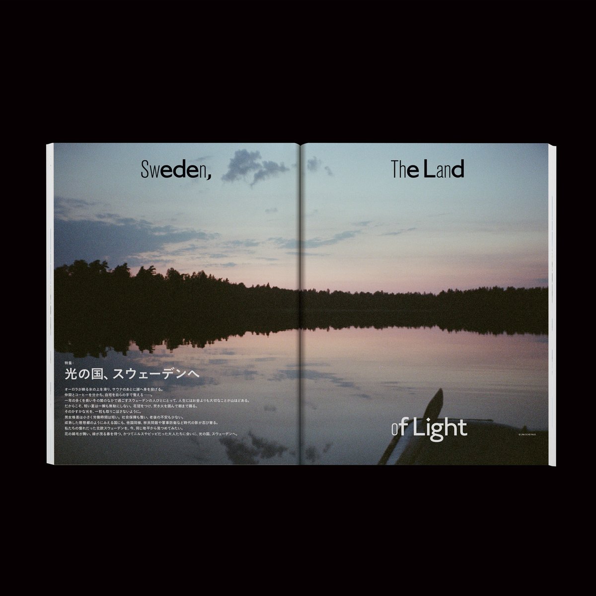 There There Ltd. tweet media