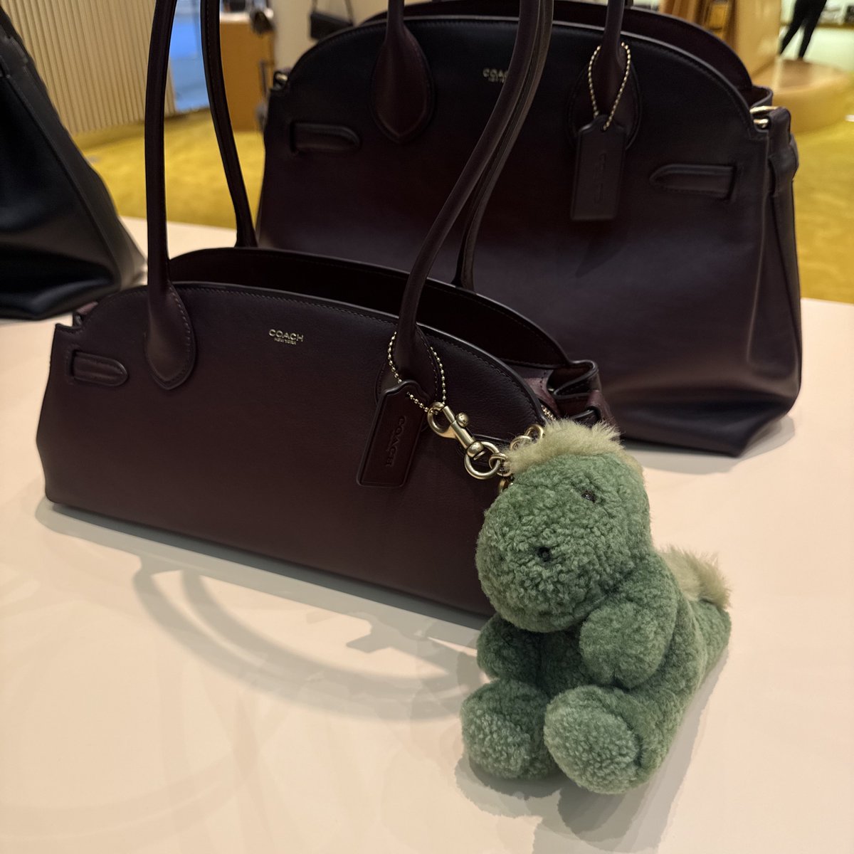 เดินเข้าช้อปcoach แล้วนึกถึงอยุ่คนเดียว🤓🦖