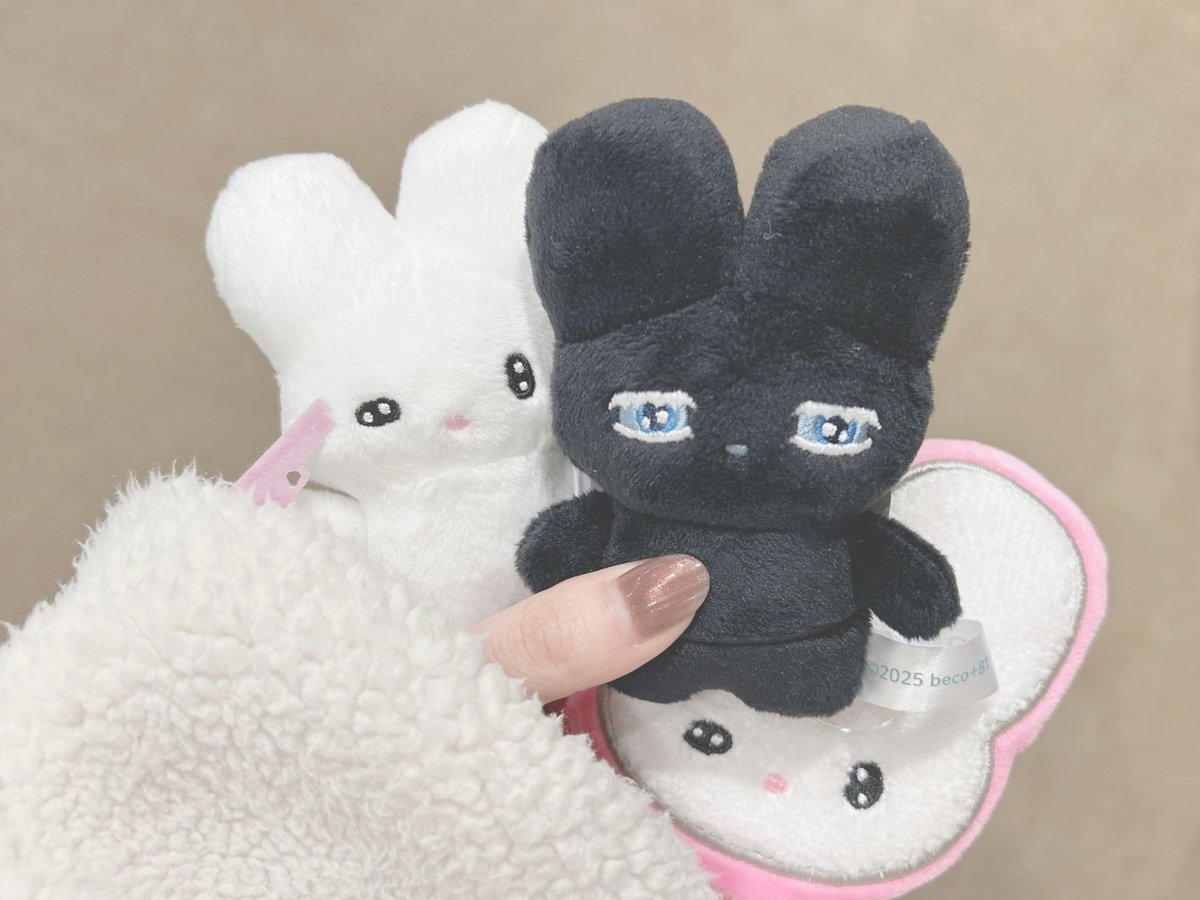 beco+81さんのしりみみさんとベルベッティさん！
帰省した時にお迎えできました✨️うれしい₍ᐢɞ̴̶̷.̮ɞ̴̶̷ᐢ₎♡