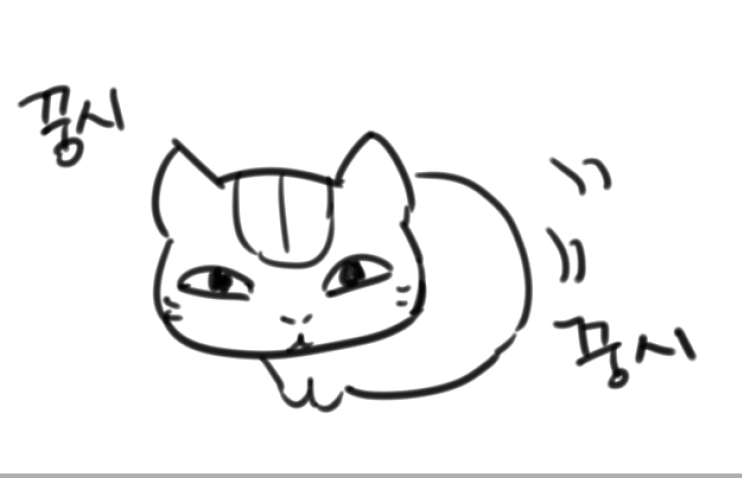 돼지 tweet media